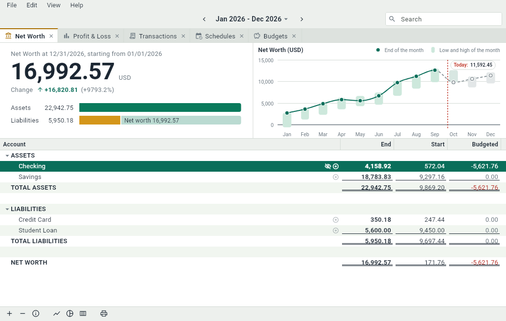 The Net Worth tab of the example document