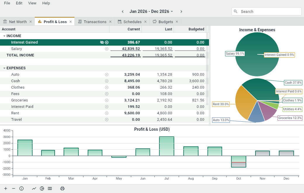 The Profit & Loss tab of the example document