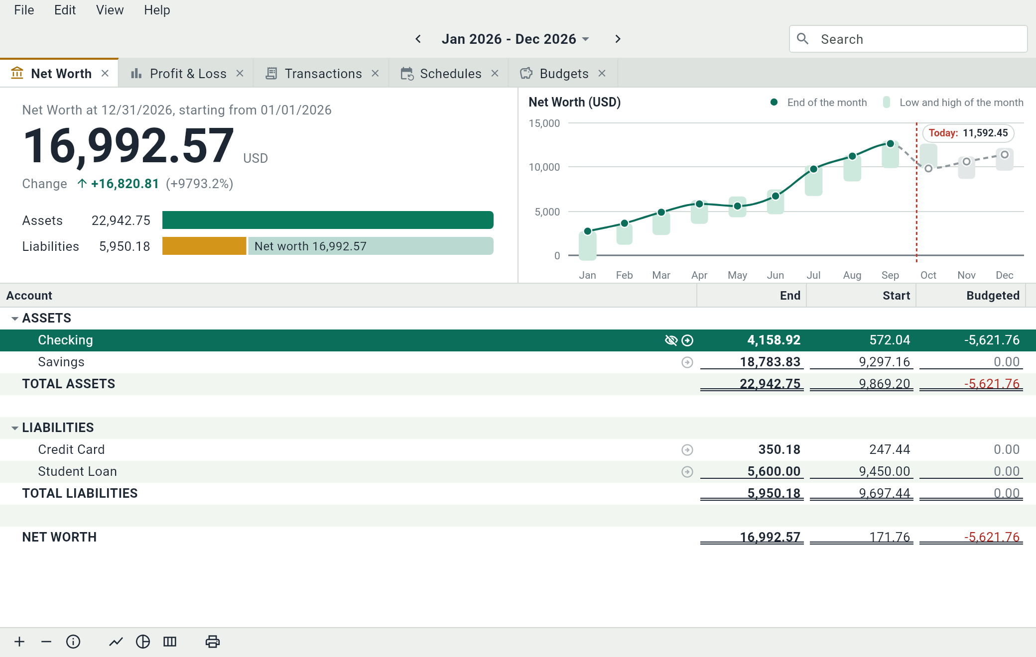 The Net Worth tab: a net worth of 16,992.57 USD, the bars of the assets and the liabilities, the graph of the year, and the sheet of accounts with its totals.