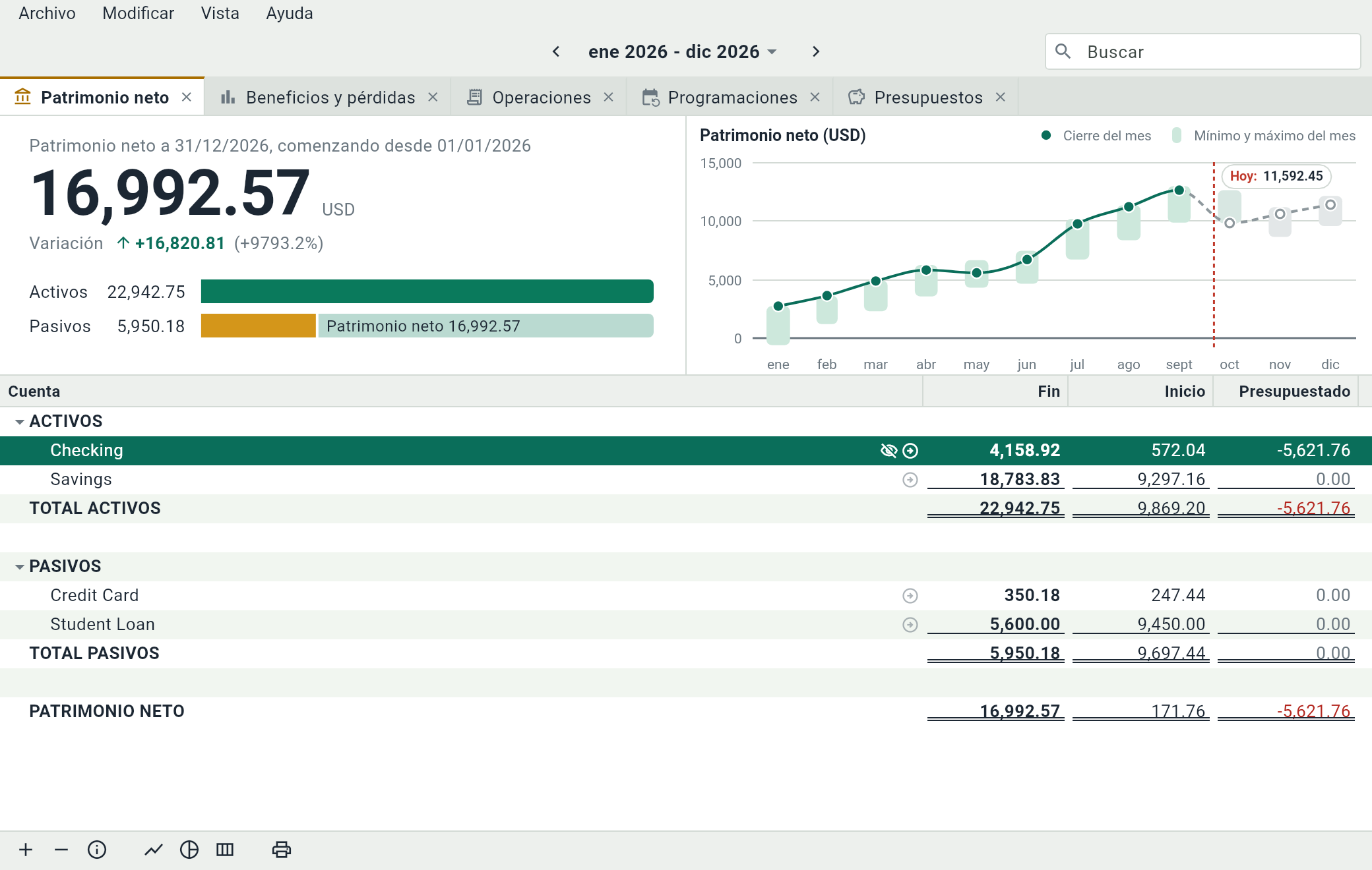 La pestaña Patrimonio neto: un patrimonio de 16,992.57 USD, las barras de los activos y los pasivos, la gráfica del año y la hoja de las cuentas con sus totales.